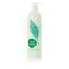 Elizabeth Arden Green Tea Body Lotion 500ml