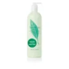 Elizabeth Arden Green Tea Body Lotion 500ml