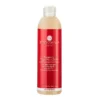 Innossence Regenessent Dry And Damaged Shampoo 300ml - Repair and Nourish Your Hair
