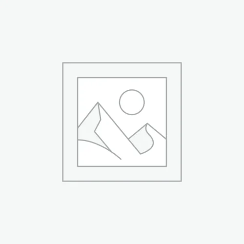 Posuere Sollicitudin